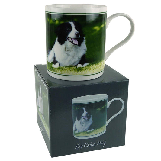 Fine China Collie Mug/Cup by Cachet Farmyard Collection Sheep Dog Gift Boxed