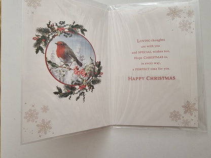 to a wonderful aunt &uncle at Christmas card