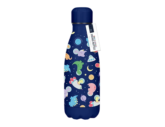 Boys Printed Metal Water Bottle 350ml