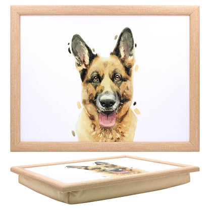 LAPTRAY