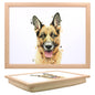 LAPTRAY