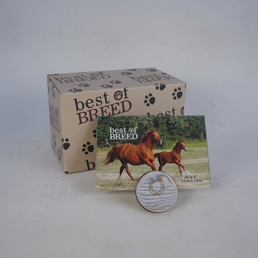 best of breed horse photo frame 6 x 4