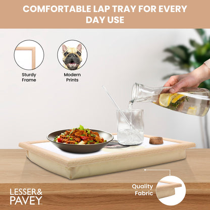 LAPTRAY