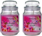 2X Starlytes 510g Large Glass Jar Candle (125hr Burn Time) - Enchanted Escape