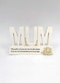 David Fischhof Memorial, Thoughts of you mum plaque, Graveside, Garden