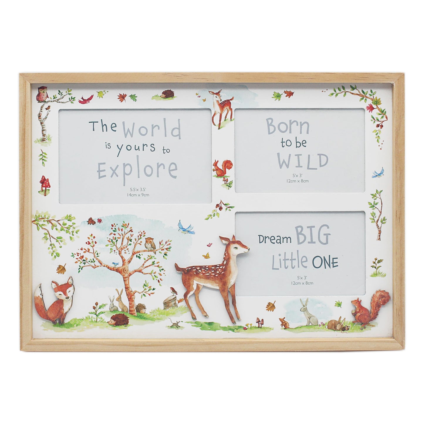 The Leonardo Collection Poster Frame for Wall & Tabletop