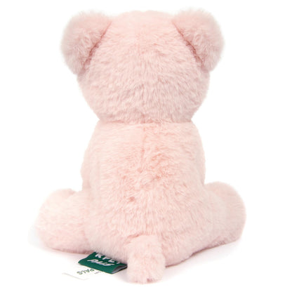 Lesser & Pavey Rpet Pals Teddy For Kids | Made Up of Recycled Bottles | Stuffed Animal Soft Toys | Ideal For Birthday or Baby Gift