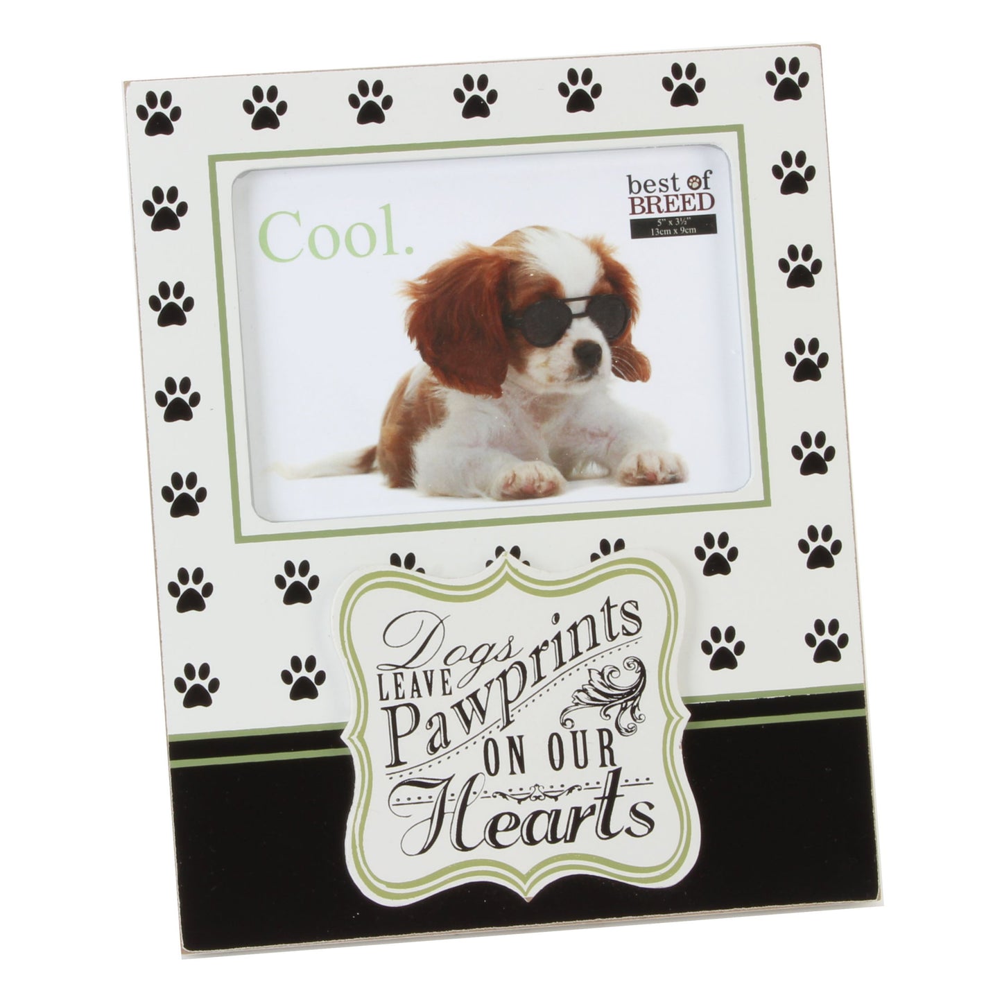 Best of Breeds Dog 4" x 6" Photo Frame - Dogs leave pawprints on our hearts
