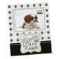 Best of Breeds Dog 4" x 6" Photo Frame - Dogs leave pawprints on our hearts