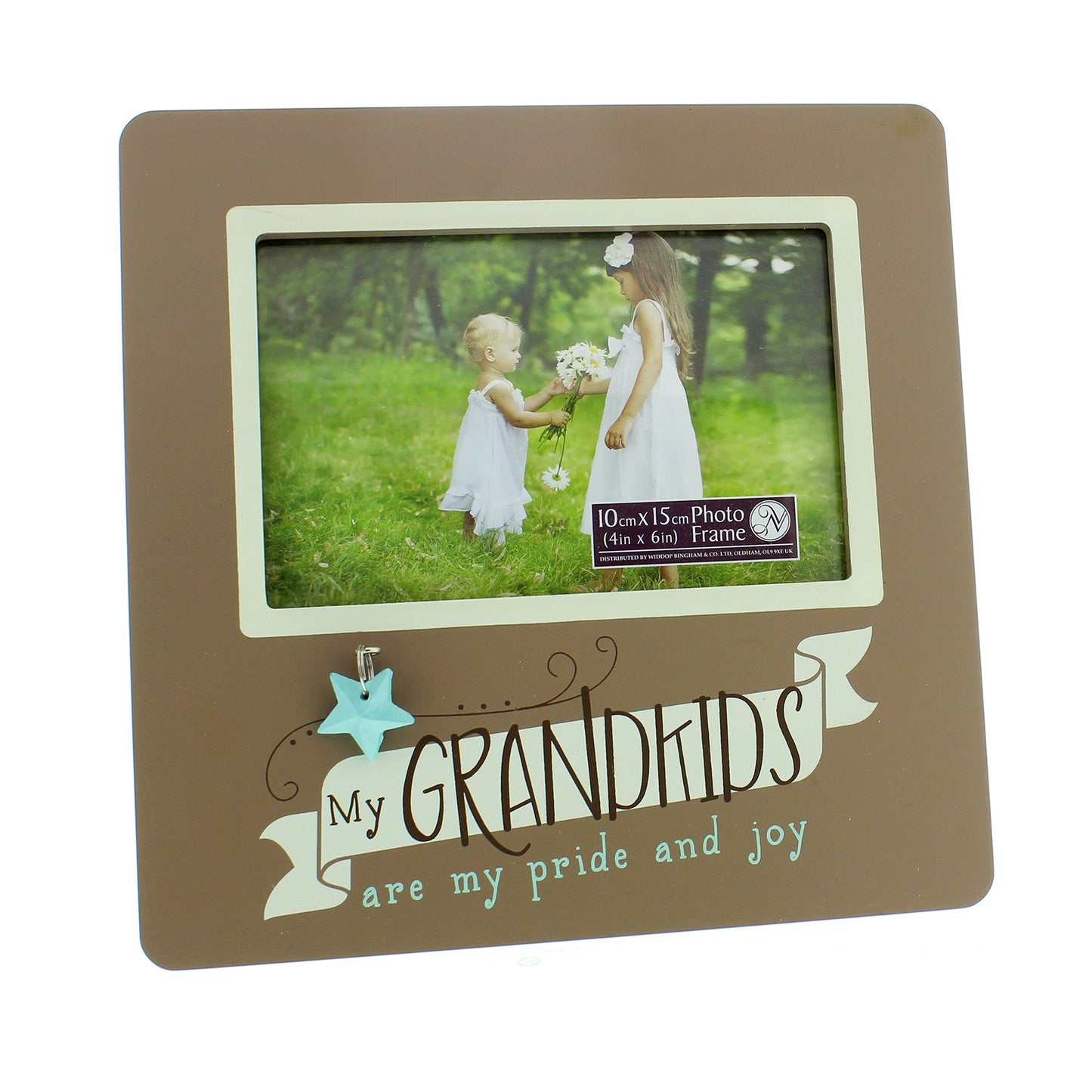 Grandkids Token Photo Frame, gift