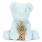 Lesser & Pavey Rpet Pals Teddy For Kids | Made Up of Recycled Bottles | Stuffed Animal Soft Toys | Ideal For Birthday or Baby Gift