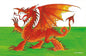 Emma Ball Welsh Dragon 100% Cotton Tea Towel