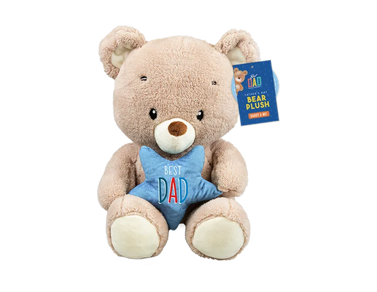 Daddy & Mini Me Plush Bear 30cm
