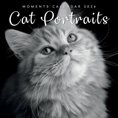 The Gifted Stationery Monthly Wall Calendar - Cat Portraits