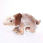 Tiger Feet Soft Toy Triceratops