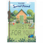 TO  A  VERY SPECIAL  FRIEND    BIRTHDAY CARD GARDEN SHED 7”x5