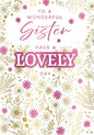 to a wonderful   sister  have a lovely  day  birthday card