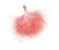 Coral Feathers x 40 - True Love - hanrattycraftsgifts.co.uk