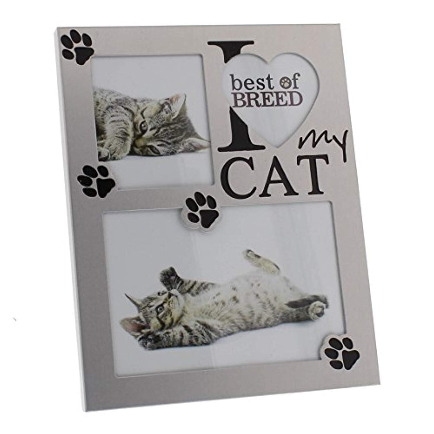 I love my Cat Brushed Aluminium Photo Frame Juliana Best of Breed Collection - hanrattycraftsgifts.co.uk