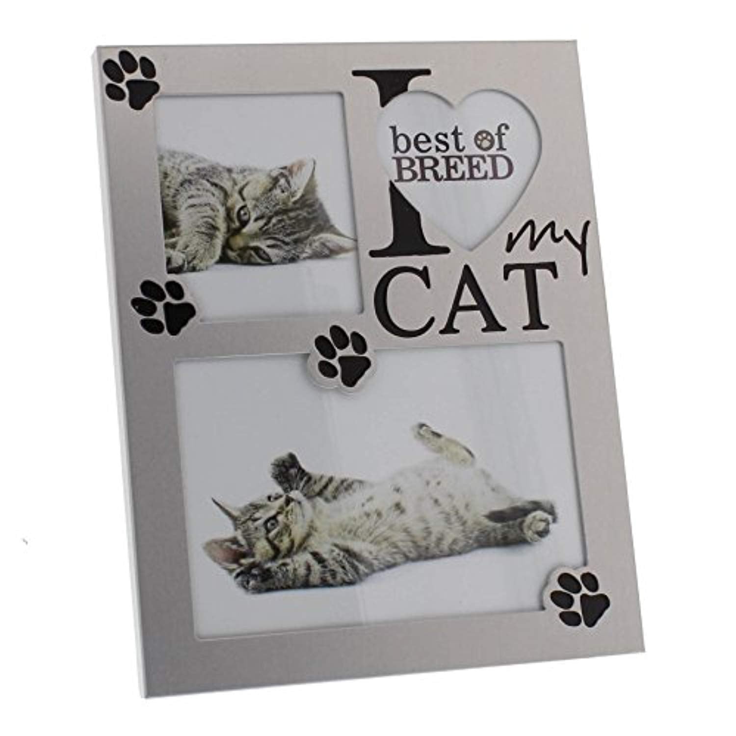 I love my Cat Brushed Aluminium Photo Frame Juliana Best of Breed Collection - hanrattycraftsgifts.co.uk