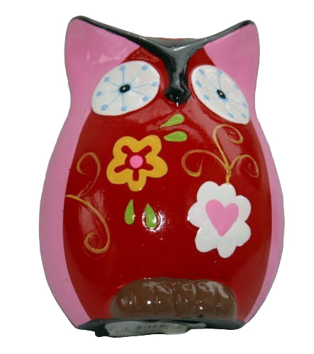 Pink Floral Brightly Coloured Money Box/Piggy Bank Ideal Gift - hanrattycraftsgifts.co.uk