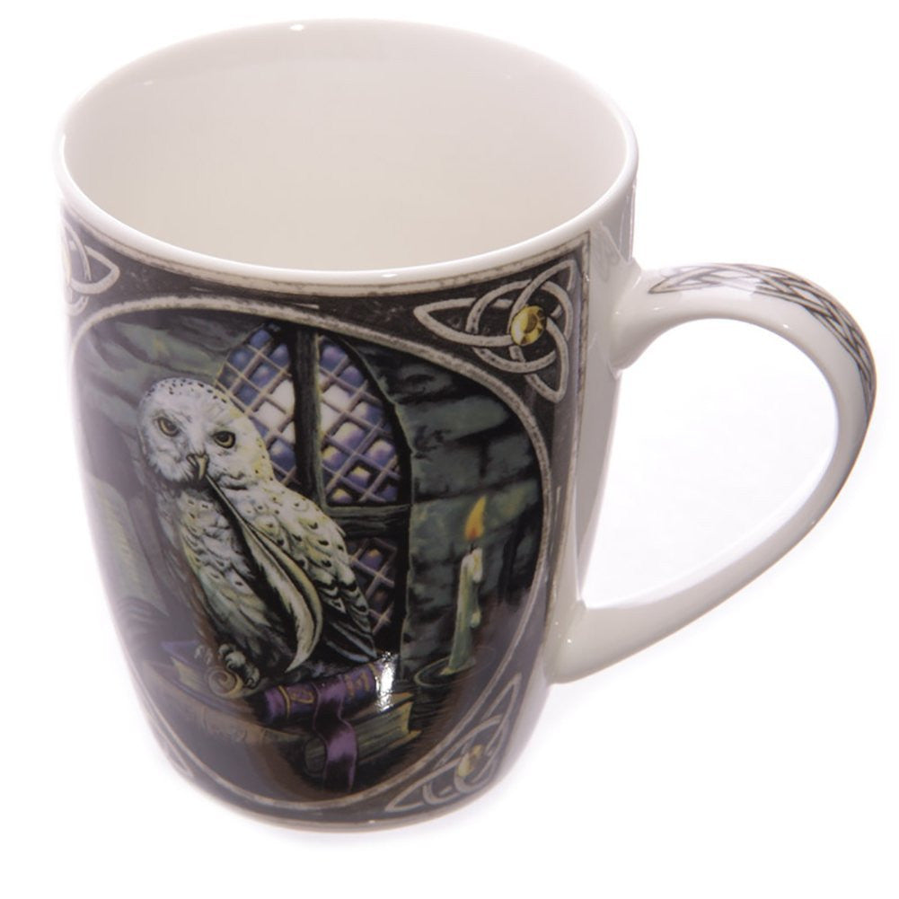 Puckator - Lisa Parker Owl design - bone china mug in presentation box - hanrattycraftsgifts.co.uk