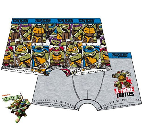 nickelodeon teenage mutant ninja turtules 2pair pack boxers - hanrattycraftsgifts.co.uk