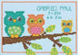 Dimensions "Mini Owl Birth Record" Counted Cross Stitch Kit, Multi-Colour - hanrattycraftsgifts.co.uk