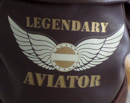 legendary mr plane aviator bear - hanrattycraftsgifts.co.uk
