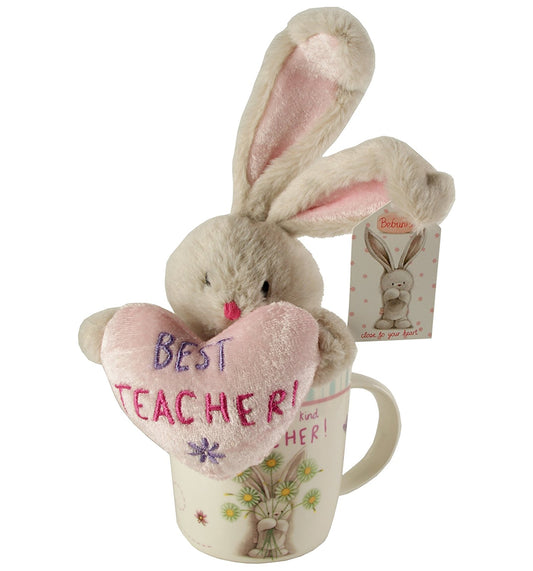 Best Teacher Mug and Soft Bunny Teddy Gift Set - hanrattycraftsgifts.co.uk