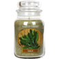 Large Yankee Candle - Sage Scent - Glass Jar - hanrattycraftsgifts.co.uk