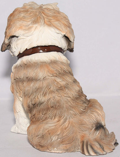 Brown & White Shih Tzu Sitting With Lead In Mouth - Walkies - hanrattycraftsgifts.co.uk